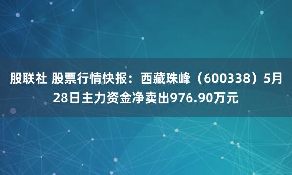 股联社 股票行情快报：西藏珠峰（600338）5月28日主力资金净卖出976.90万元