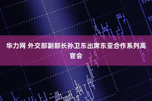 华力网 外交部副部长孙卫东出席东亚合作系列高官会