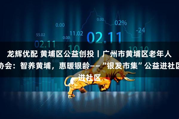 龙辉优配 黄埔区公益创投丨广州市黄埔区老年人协会：智养黄埔，惠暖银龄——“银发市集”公益进社区