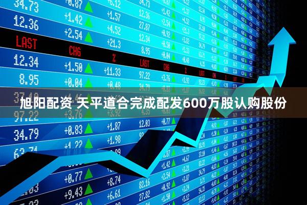 旭阳配资 天平道合完成配发600万股认购股份