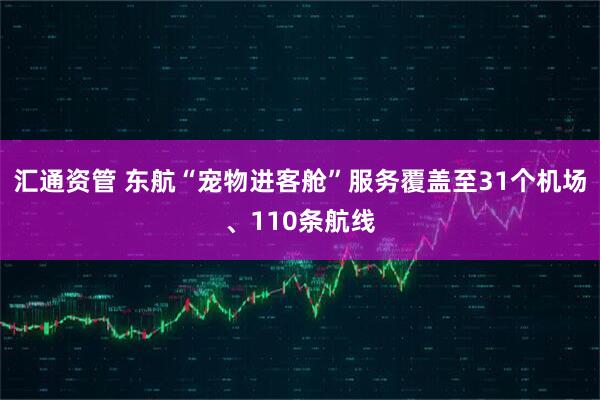 汇通资管 东航“宠物进客舱”服务覆盖至31个机场、110条航线