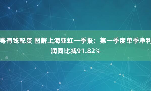 粤有钱配资 图解上海亚虹一季报：第一季度单季净利润同比减91.82%